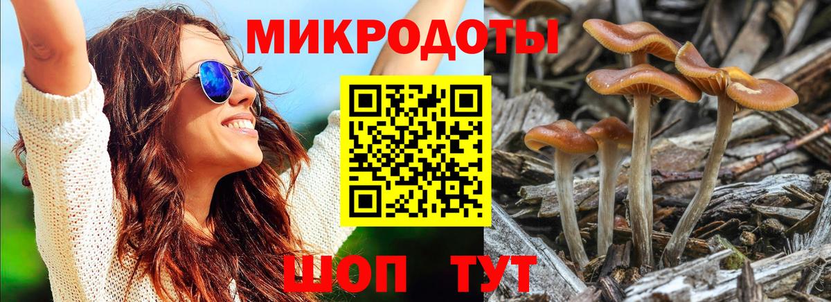 Псилоцибиновые грибы Cubensis Серпухов