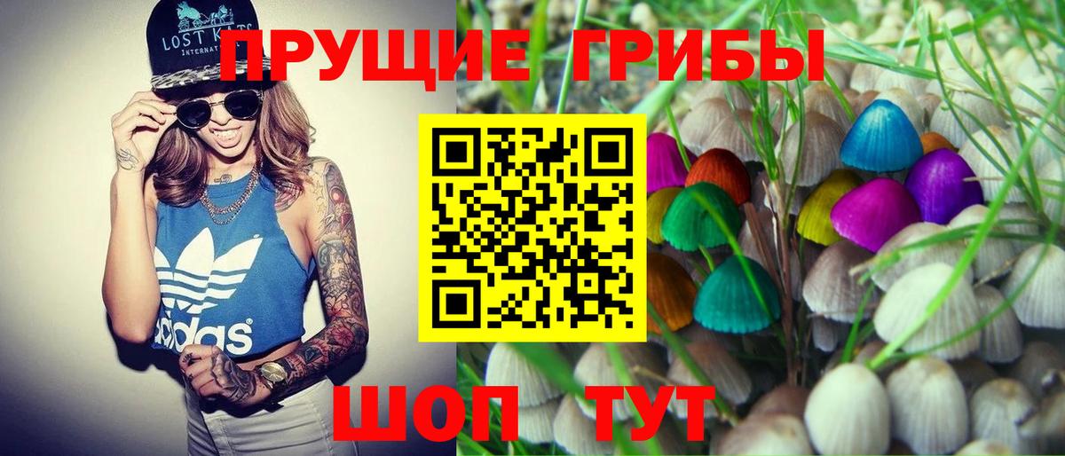 Псилоцибиновые грибы мухоморы  Галлюциногенные грибы GOLDEN TEACHER  Вход с VPN  Серпухов 